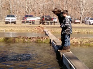 The Highland Maple Festival