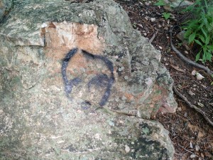 Random face on the mountain.