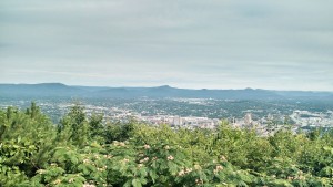 The Roanoke Valley from a higher altitude.