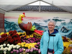 Chinese peacock (not me, the bird)