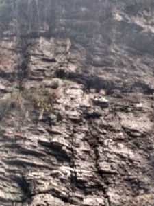 2000+ year old coffins tucked into a mountainside cranny