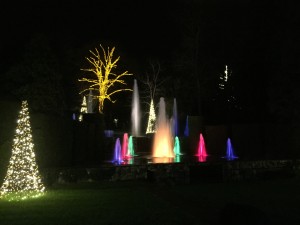 The fountain show