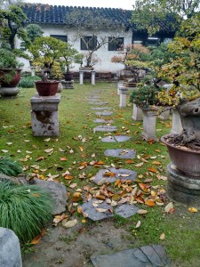 The bonsai garden.