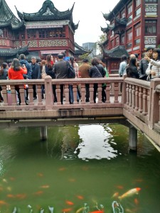 Bridge over the koi pond Chinatown