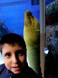 Boy meets eel.