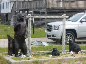 Crazy crap you see at the beach.