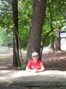 Stone slab picnic benches at Wolf Creek.