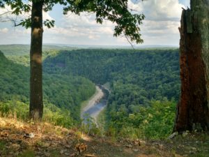 The Genesee River 